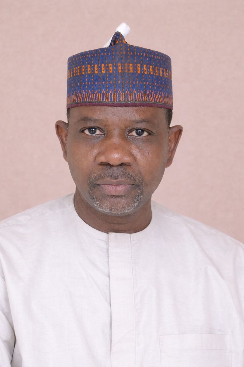 Prof. Adewale Johnson